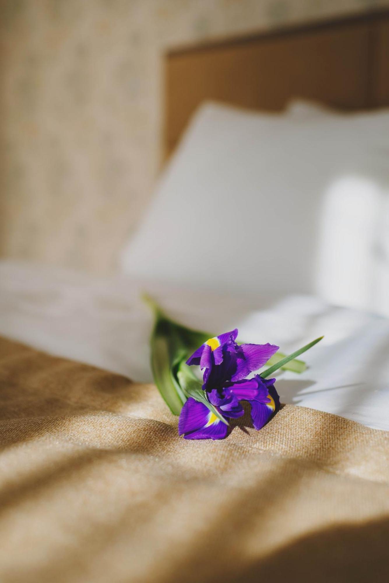 Hotel Alkor Truskavets Rom bilde